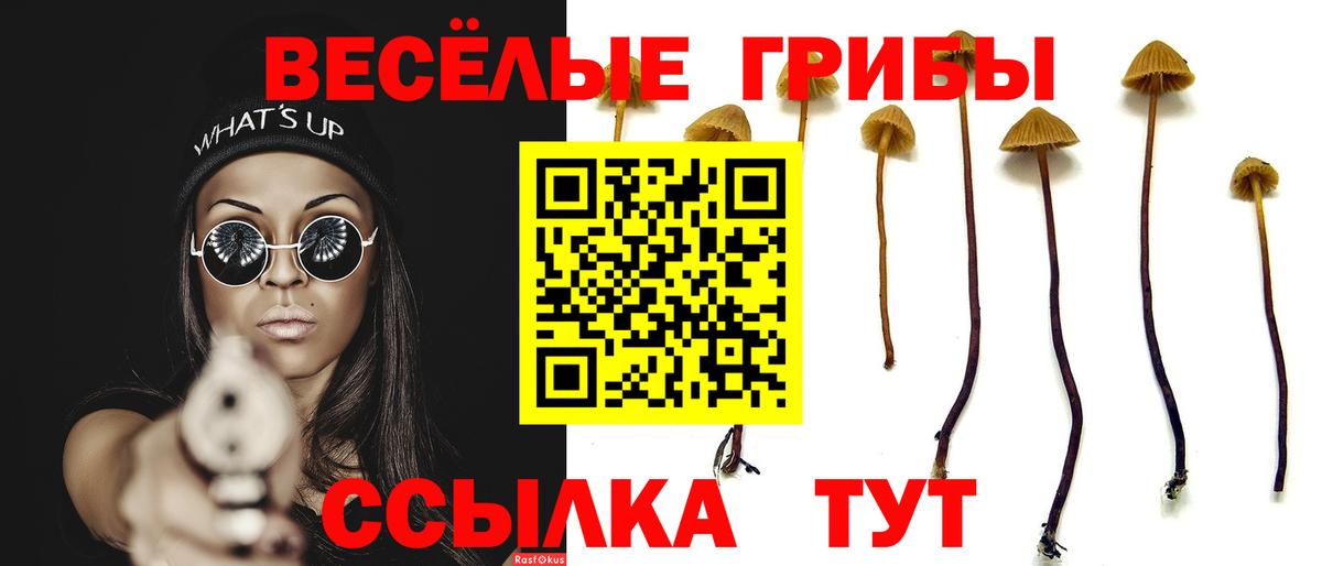 Псилоцибиновые грибы мицелий  Вход с VPN  Верхняя Салда 